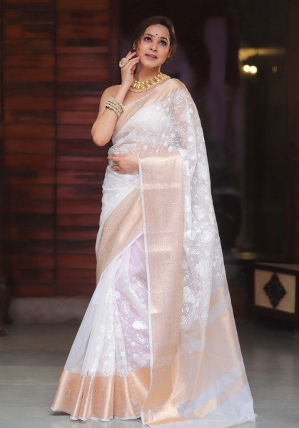 Organza Silk Chikankari Embroidery  Saree