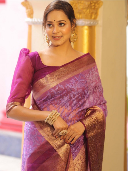 Organza Silk Chikankari Embroidery  Saree