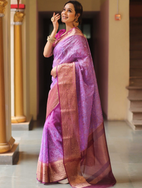 Organza Silk Chikankari Embroidery  Saree