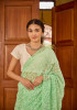 Never Seen Before Chiffon Chikankari Saree