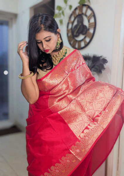 Warm Silk Banarasi Saree with Meenakari Zari Border