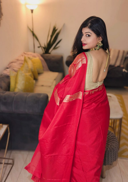 Warm Silk Banarasi Saree with Meenakari Zari Border