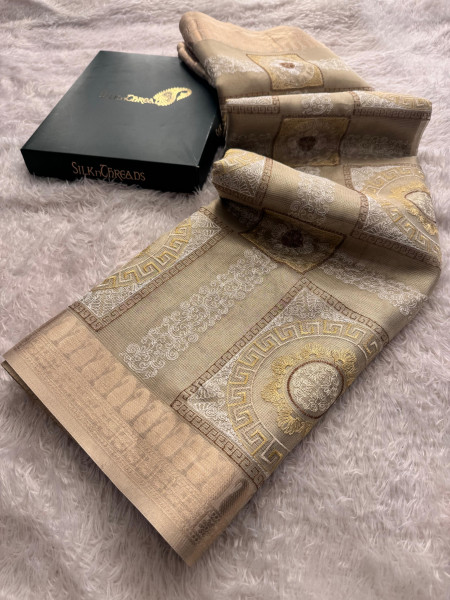 Never Seen Before Banarasi Tissue Resham Embroidery Work Saree With Banarasi Zari Border