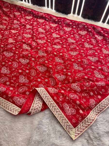 Never Seen Before Chiffon Chikankari Saree