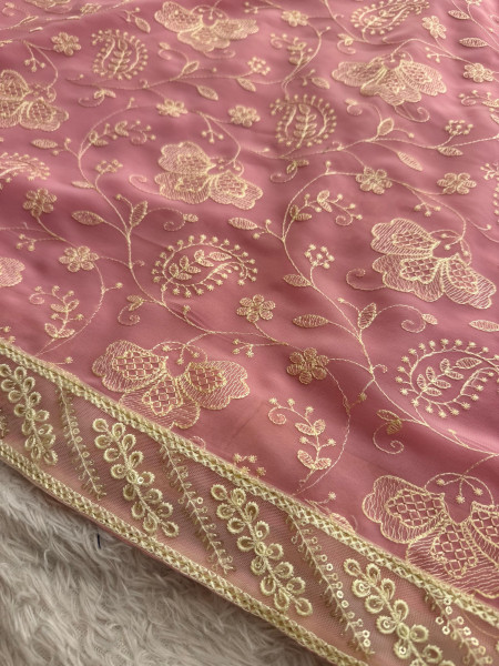 Never Seen Before Chiffon Chikankari Saree