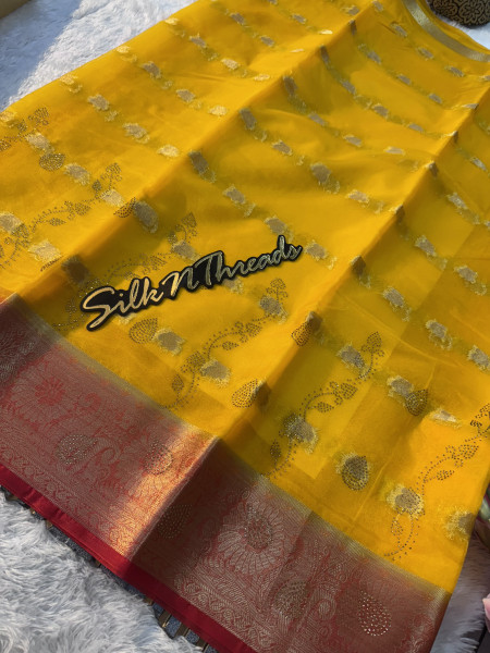 Organza Silk Saree with Swarovski Crystal Work