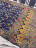 Mashru Katan Silk Saree with Floral Zari Borders and Meenakari