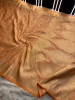 Mashru Katan Silk Saree with Floral Zari Borders and Meenakari Work