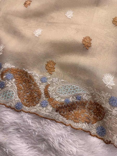 Premium Tissue Silk Resham Embroidery Work Saree With Designer Embroidery Pallu