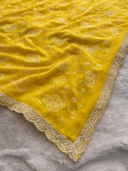 Never Seen Before Chiffon Chikankari Saree