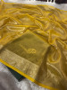 Premium Banarasi Tissue Silk Saree with Swarovski Crystal Work