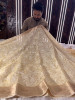 Organza Shimmer Chikankari Embroidery Saree
