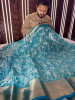 Organza Shimmer Chikankari Embroidery Saree