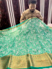 Organza Shimmer Chikankari Embroidery Saree