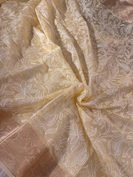 Organza Shimmer Chikankari Embroidery Saree