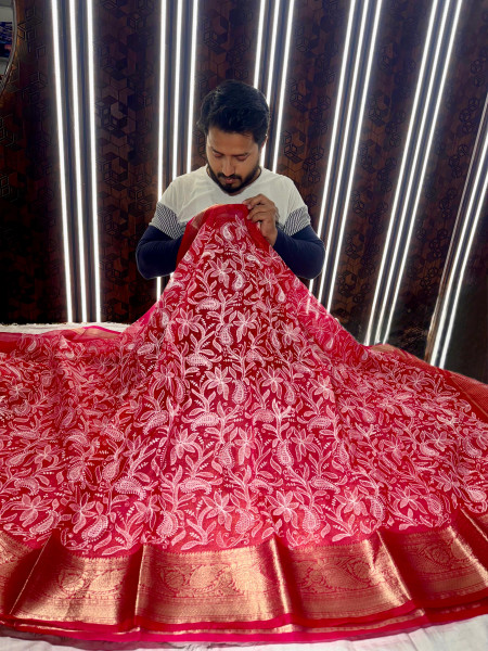 Organza Shimmer Chikankari Embroidery Saree