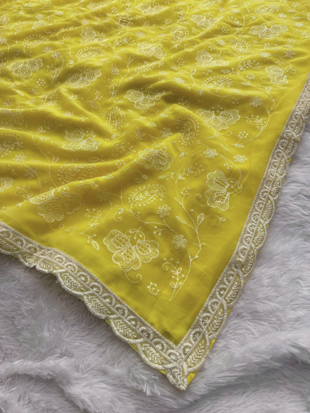 Never Seen Before Chiffon Chikankari Saree