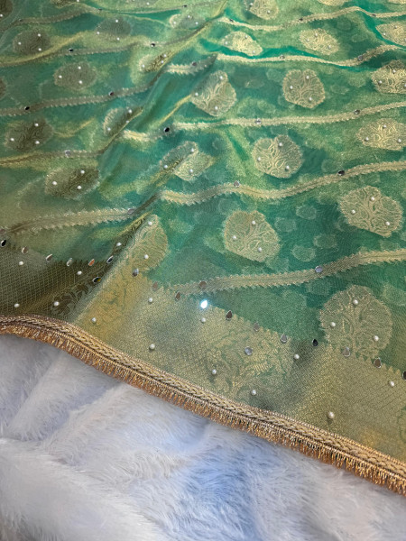 Premium Tissue Silk Saree with Hand Mirror And Moti Work