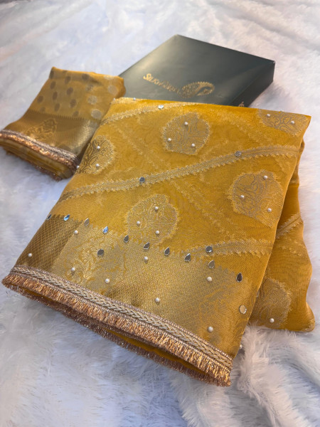Premium Tissue Silk Saree with Hand Mirror And Moti Work