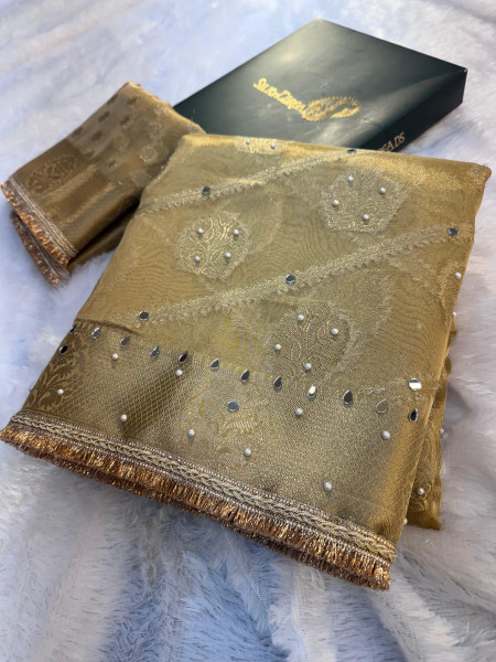 Premium Tissue Silk Saree with Hand Mirror And Moti Work