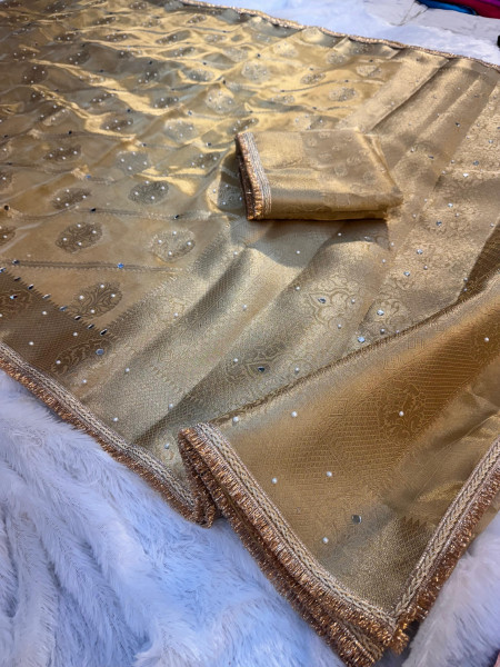Premium Tissue Silk Saree with Hand Mirror And Moti Work