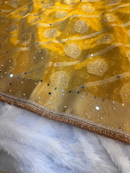 Premium Tissue Silk Saree with Hand Mirror And Moti Work