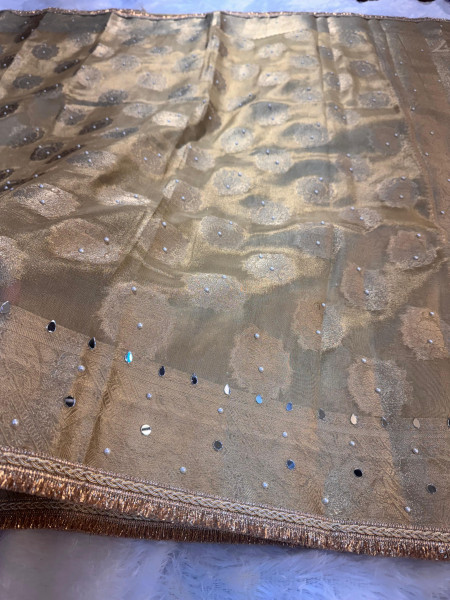 Premium Tissue Silk Saree with Hand Mirror And Moti Work