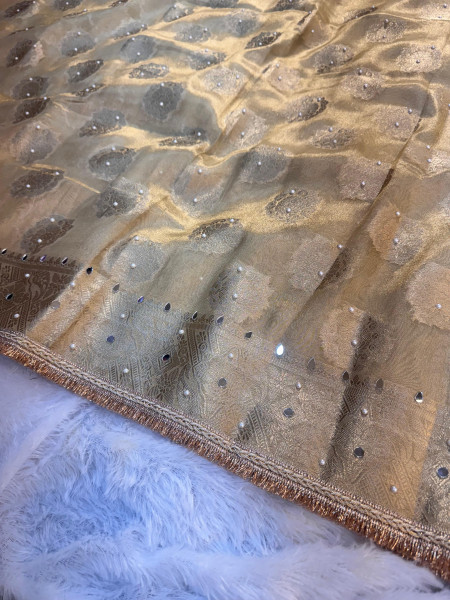 Premium Tissue Silk Saree with Hand Mirror And Moti Work