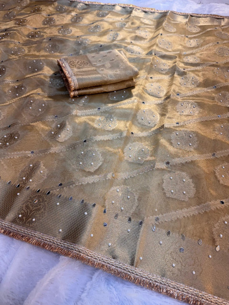 Premium Tissue Silk Saree with Hand Mirror And Moti Work