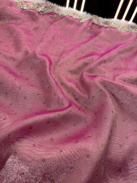 Never Seen Before Premium Tissue Silk Saree with Designer Border