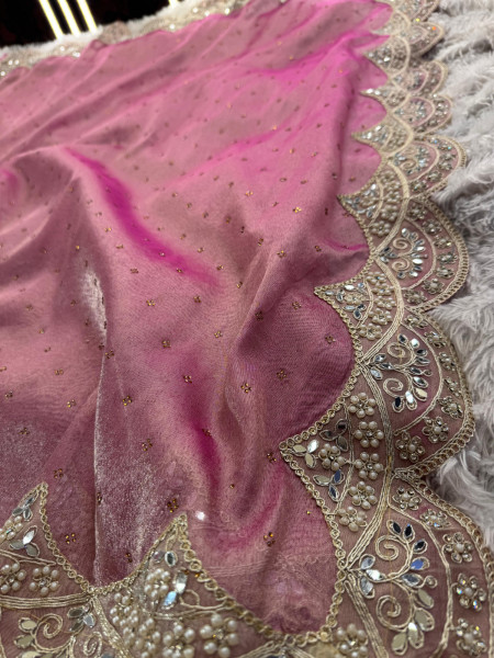 Never Seen Before Premium Tissue Silk Saree with Designer Border