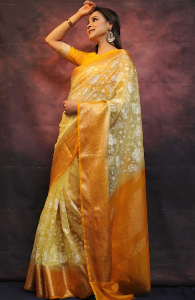 Organza Silk Chikankari Embroidery Shaded Dye Saree