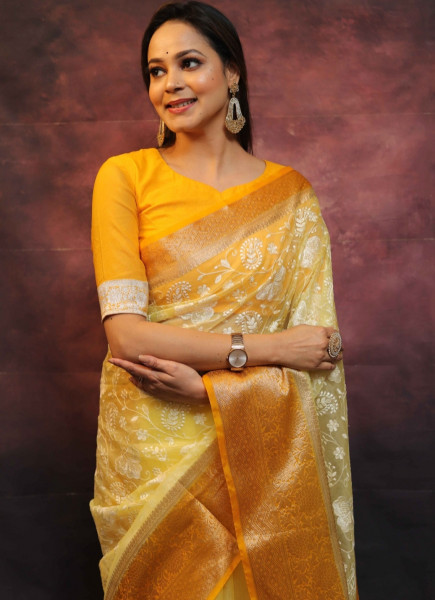 Organza Silk Chikankari Embroidery Shaded Dye Saree