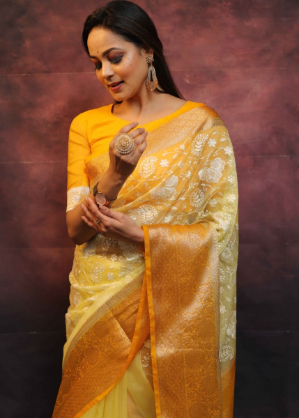 Organza Silk Chikankari Embroidery Shaded Dye Saree