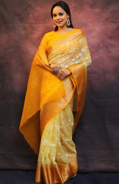 Organza Silk Chikankari Embroidery Shaded Dye Saree