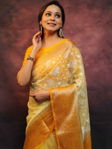 Organza Silk Chikankari Embroidery Shaded Dye Saree