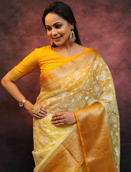 Organza Silk Chikankari Embroidery Shaded Dye Saree