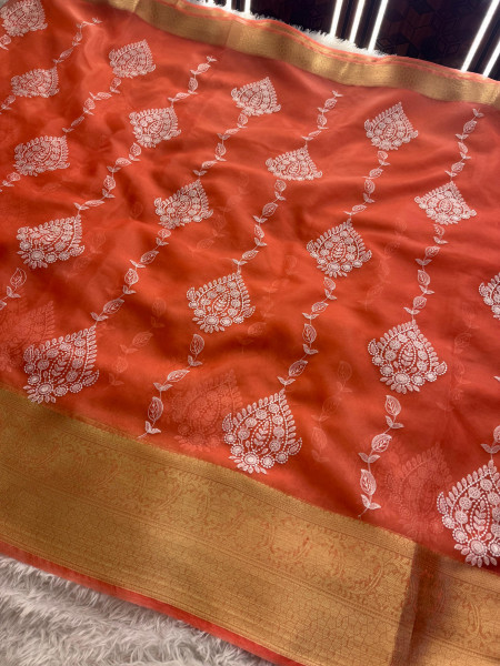 Organza Silk Chikankari Embroidery  Saree