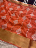 Organza Silk Chikankari Embroidery  Saree