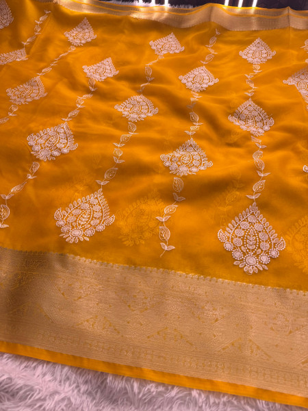 Organza Silk Chikankari Embroidery  Saree