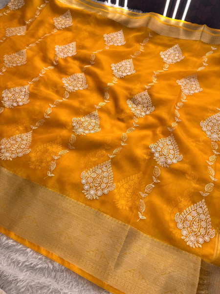 Organza Silk Chikankari Embroidery  Saree