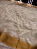 Organza Silk Chikankari Embroidery  Saree