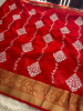 Organza Silk Chikankari Embroidery  Saree