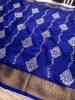 Organza Silk Chikankari Embroidery  Saree