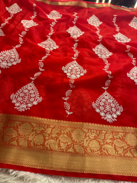 Organza Silk Chikankari Embroidery  Saree