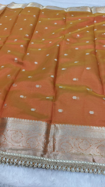 Tissue Silk Saree
