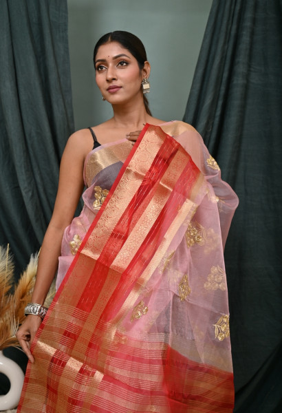 Organza Silk Saree with Gold Zari Embroidery Work and Sequence Border
