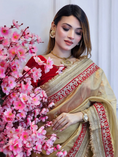 Premium Banarasi Tissue Silk Saree with Designer Red Zari Border