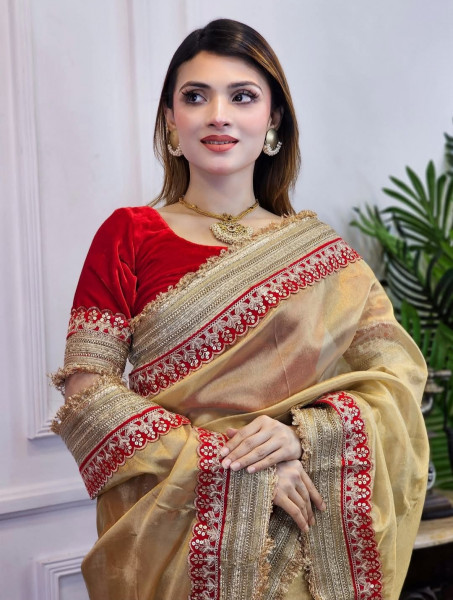 Premium Banarasi Tissue Silk Saree with Designer Red Zari Border