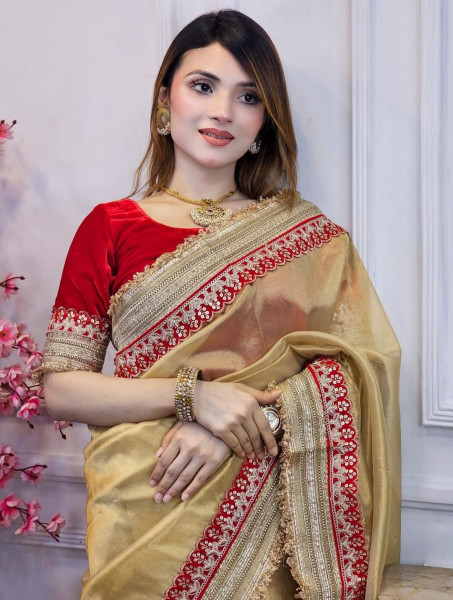 Premium Banarasi Tissue Silk Saree with Designer Red Zari Border